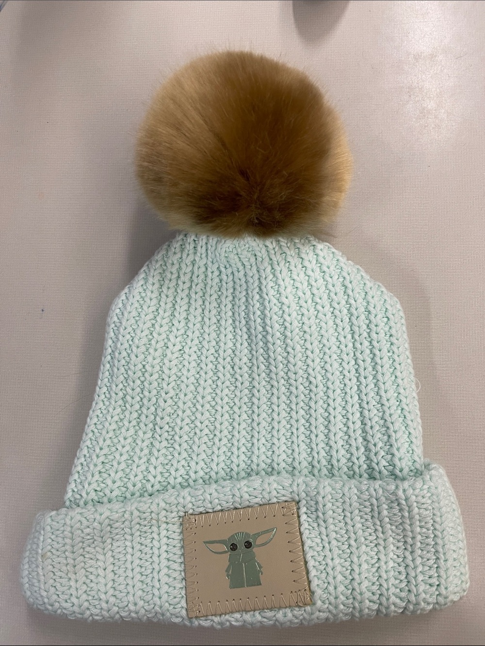 Love Your Melon Mint Beanie with Brown Pom
